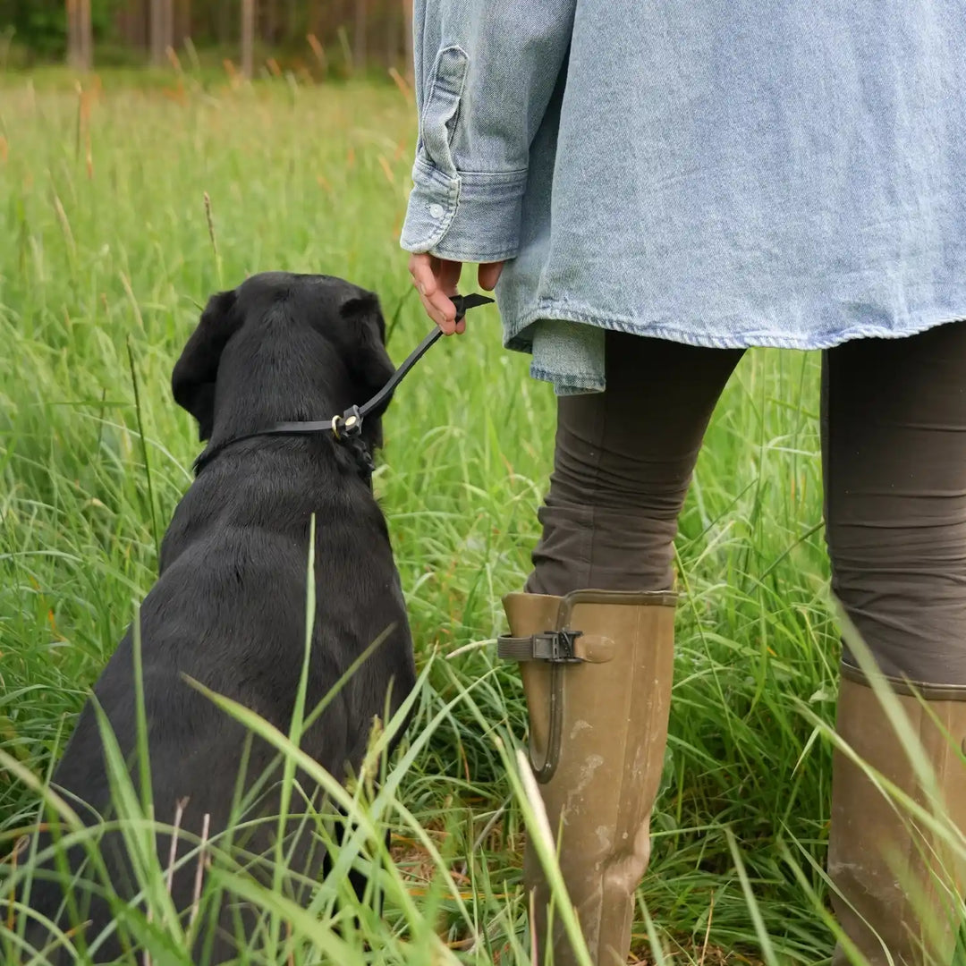 Miljöbild svart labrador med junies läder luring svart black #color_black
