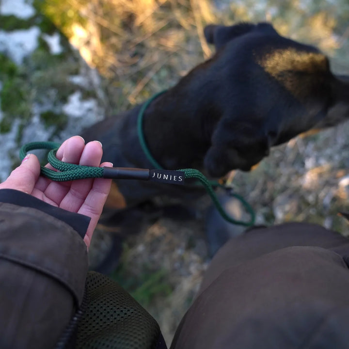 Miljöbild svart labrador med junies retrieverkoppel 120 x 0,6 cm logga  dark green #color_dark-green