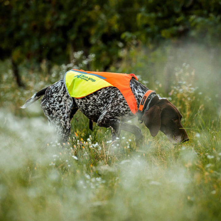 MIljöbild non-stop dogwear Protector cover 2.0