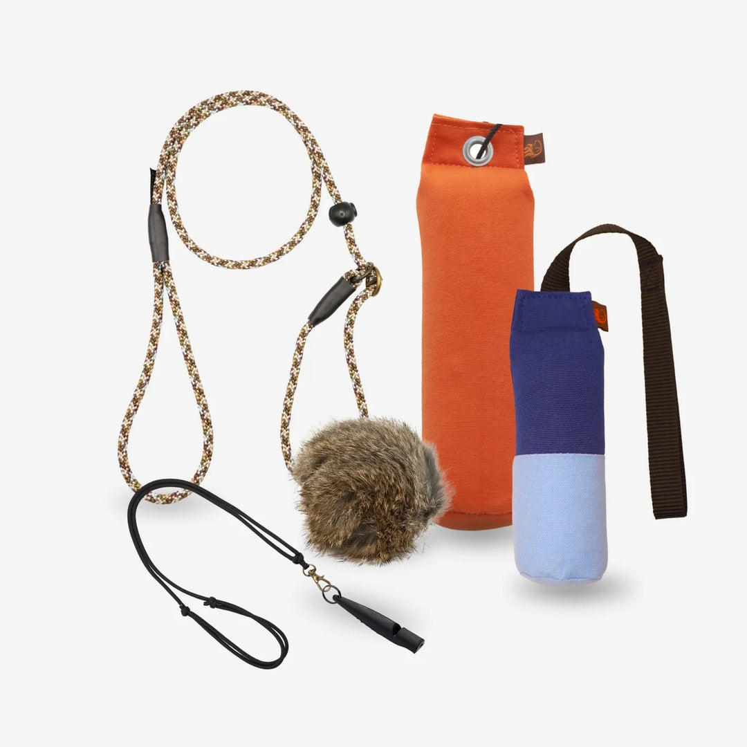 Startpaket för apportering – retrieverkoppel, dummies i orange och blå, dummyboll med päls och visselpipa