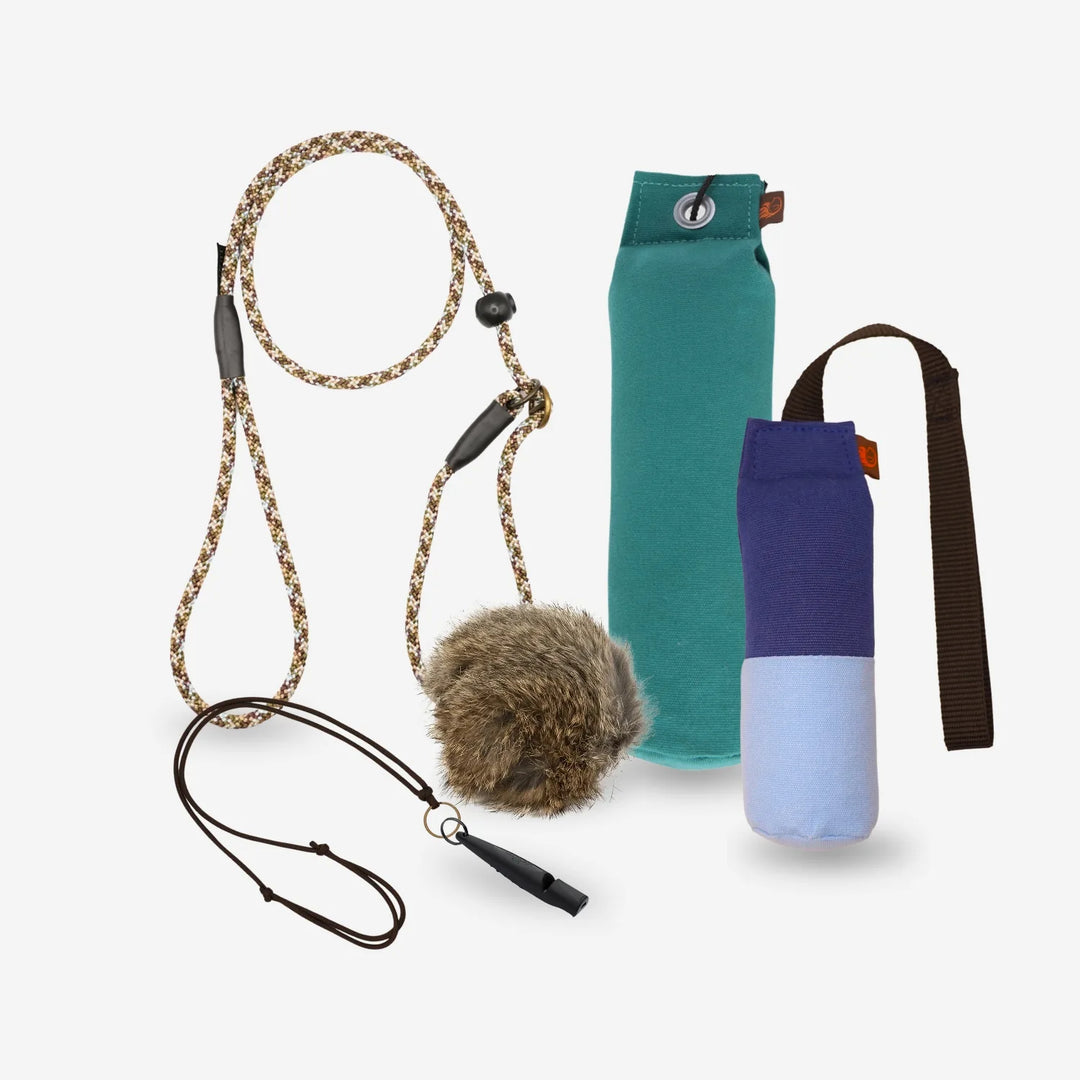 Startpaket för apportering – retrieverkoppel, dummies i grön och blå, dummyboll med päls och visselpipa