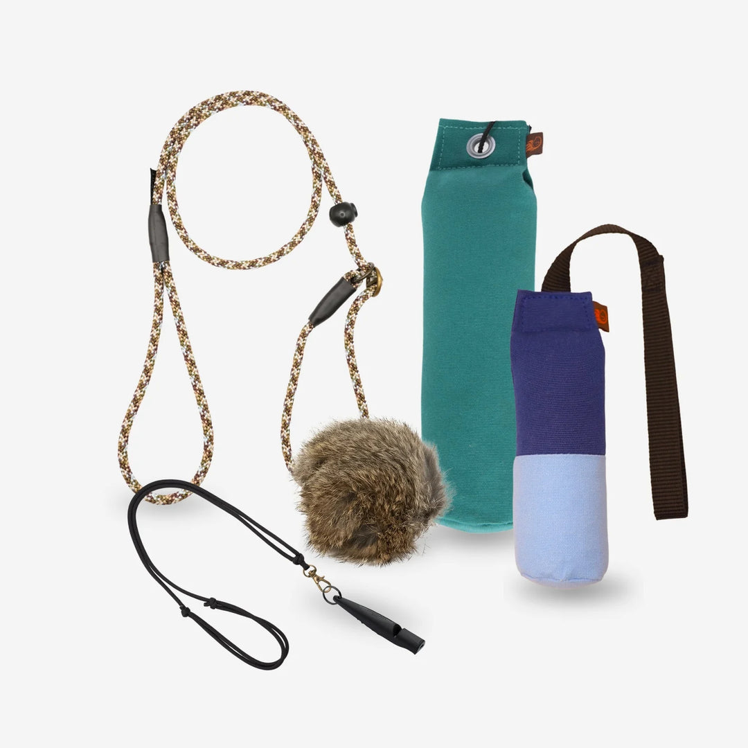 Startpaket för apportering – retrieverkoppel, dummies i grön och blå, dummyboll med päls och visselpipa